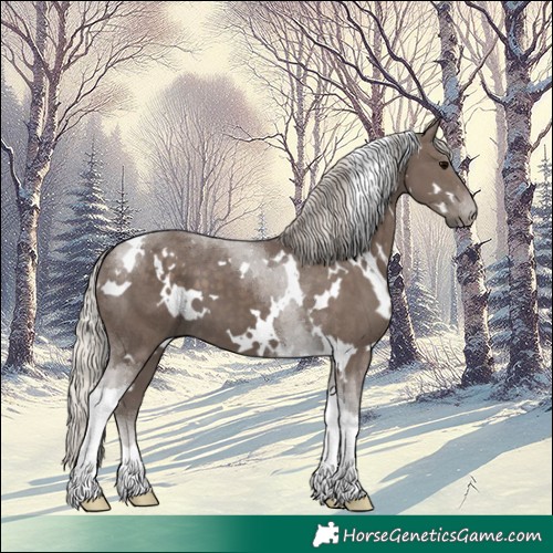 Horse Color:White Spotted Silver Black Tobiano 