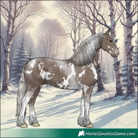 Horse Color:White Spotted Silver Black Tobiano 