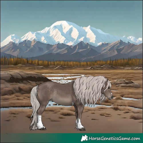 Horse Color:Silver Black Tobiano Rabicano 