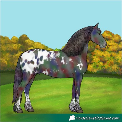 Horse Color:Nacre White Spotted Black Sabino Appaloosa Rabicano 