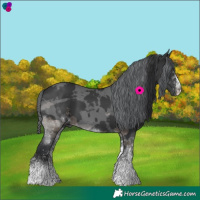 Horse Color:White Spotted Black Merle Tobiano Rabicano