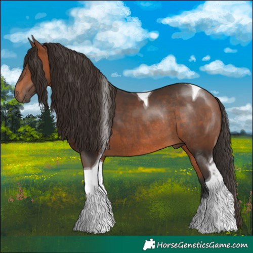 Horse Color:Bay Tobiano Rabicano