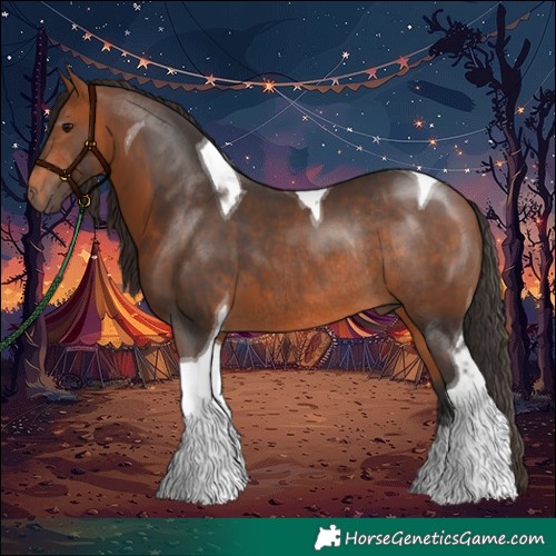 Horse Color:Bay Tobiano Rabicano 