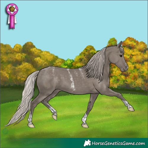 Horse Color:Powder White Silver Grullo Tobiano 