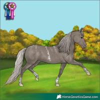 Horse Color:Powder White Silver Grullo Tobiano