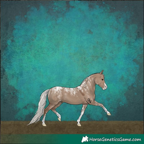 Horse Color:Powder White Silver Grullo 
