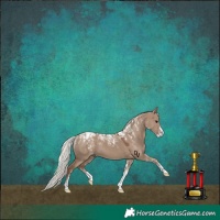 Horse Color:Powder White Silver Grullo 