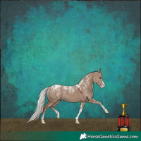 Horse Color:Powder White Silver Grullo 