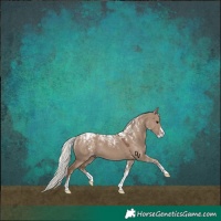 Horse Color:Powder White Silver Grullo 