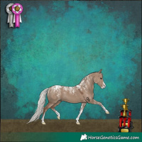 Horse Color:Powder White Silver Grullo 