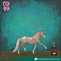 Horse Color:Powder White Silver Grullo 