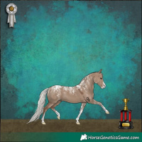 Horse Color:Powder White Silver Grullo 