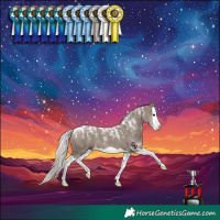 Horse Color:Powder White Silver Grullo Splash 
