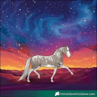 Horse Color:Powder White Silver Grullo Splash
