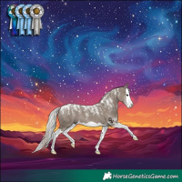 Horse Color:Powder White Silver Grullo Splash 