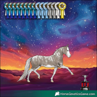Horse Color:Powder White Silver Grullo Splash