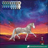 Horse Color:Powder White Silver Grullo Splash 