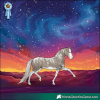 Horse Color:Powder White Silver Grullo Splash 