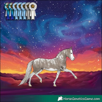 Horse Color:Powder White Silver Grullo Splash 