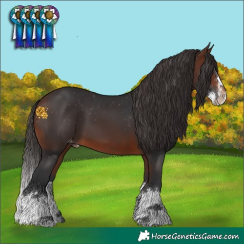 Horse Color:Brown Splash Varnish 