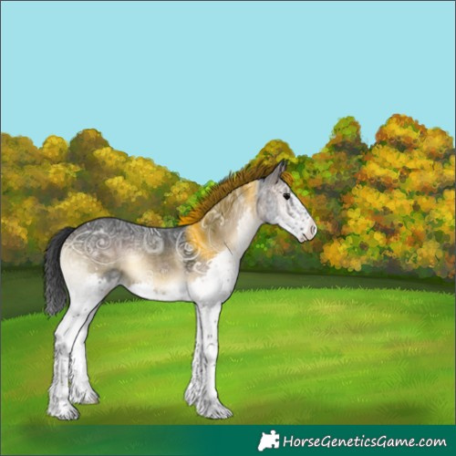 Horse Color:Brown Ice Onyx Splash 