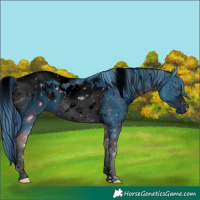 Horse Color:ERROR: UNKNOWN ANOMALY