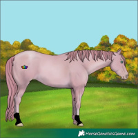 Horse Color:Watercolor Smoky Black Pearl 