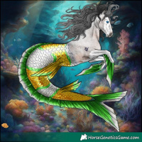 Horse Color:Gray Brown Roan Splash Rabicano 