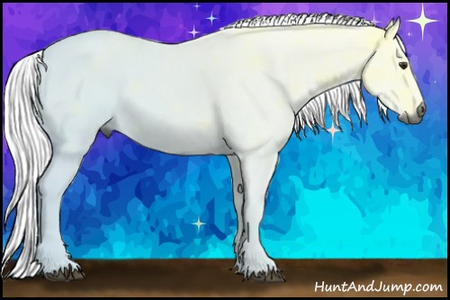 Horse Color:Gray Chestnut Ice 