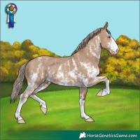 Horse Color:Red Dun Sabino
