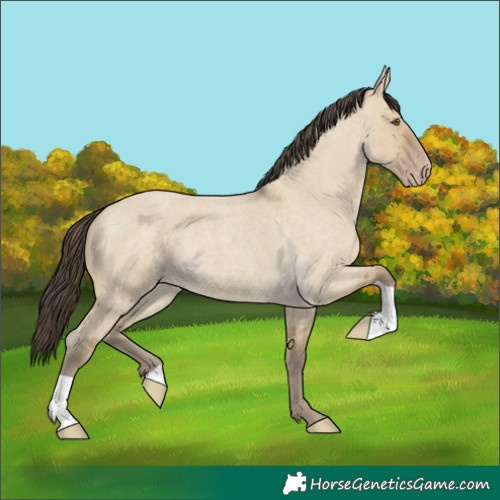 Horse Color:Classic Cream Champagne Roan Dun 