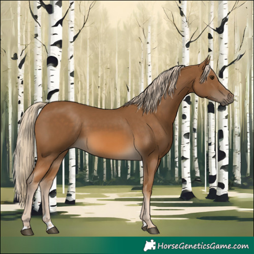 Horse Color:Chocolate Palomino 