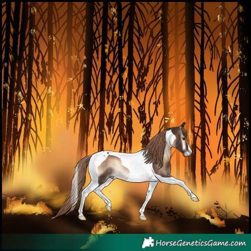 Horse Color:Liver Red Onyx Tobiano Rabicano 