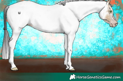 Horse Color:Gray White Spotted Amber Champagne Dun 