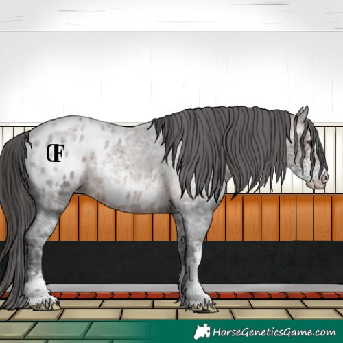 Horse Color:Brown Ice Roan Sabino Blanket Rabicano 