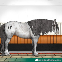 Horse Color:Brown Ice Roan Sabino Appaloosa Rabicano