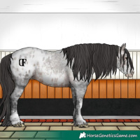 Horse Color:Brown Ice Roan Sabino Appaloosa Rabicano 