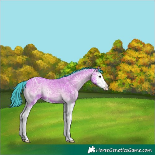 Horse Color:Watercolor Bay Ice Onyx Splash