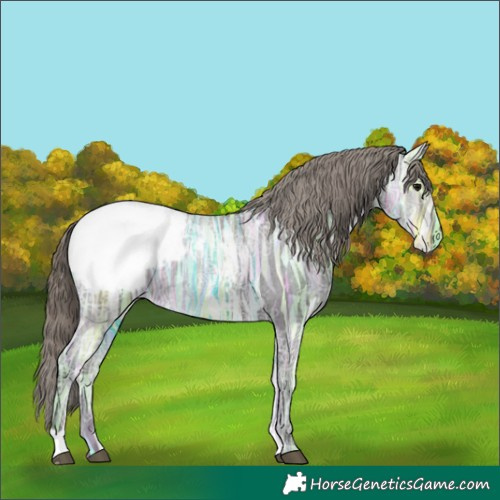 Horse Color:Smoky Black Ice Appaloosa