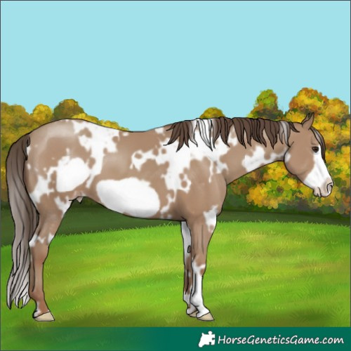 Horse Color:White Spotted Classic Champagne Frame