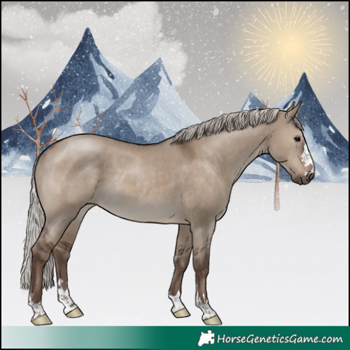 Horse Color:Silver Grullo 