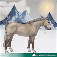 Horse Color:Silver Grullo
