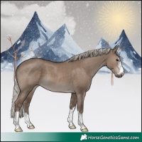 Horse Color:Silver Grullo 