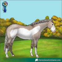 Horse Color:Silver Brown Dun Frame