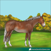 Horse Color:Silver Brown
