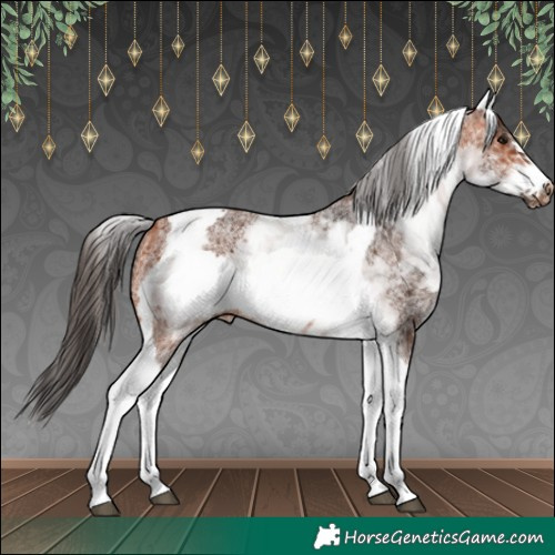 Horse Color:White Spotted Bay Tobiano Frame 
