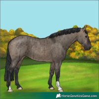 Horse Color:Brown Dun Brindle 