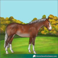 Horse Color:Silver Brown 