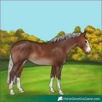 Horse Color:Silver Brown