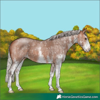 Horse Color:White Spotted Silver Brown 